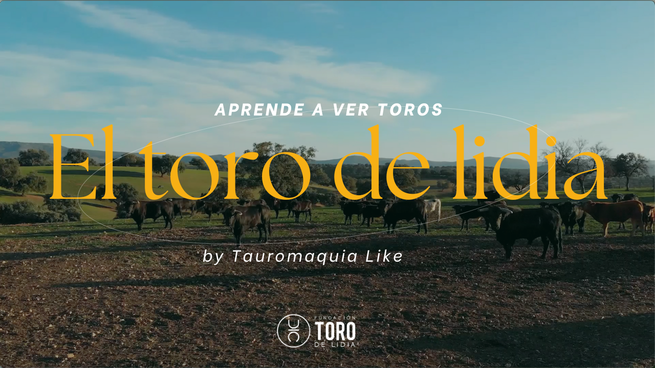 'Aprende a ver toros' estrena su tercera temporada de la mano de Tauromaquia Like