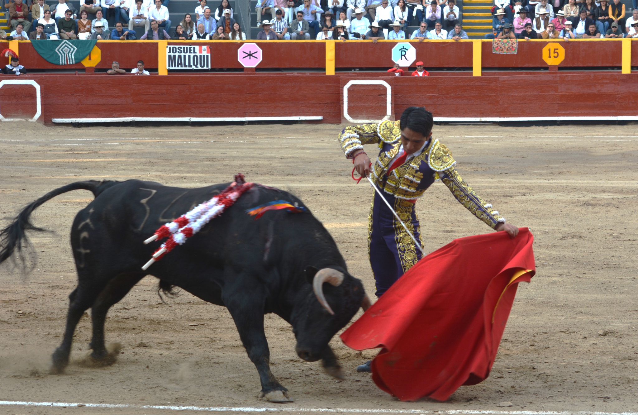 La voluntad de Mallqui en su debut