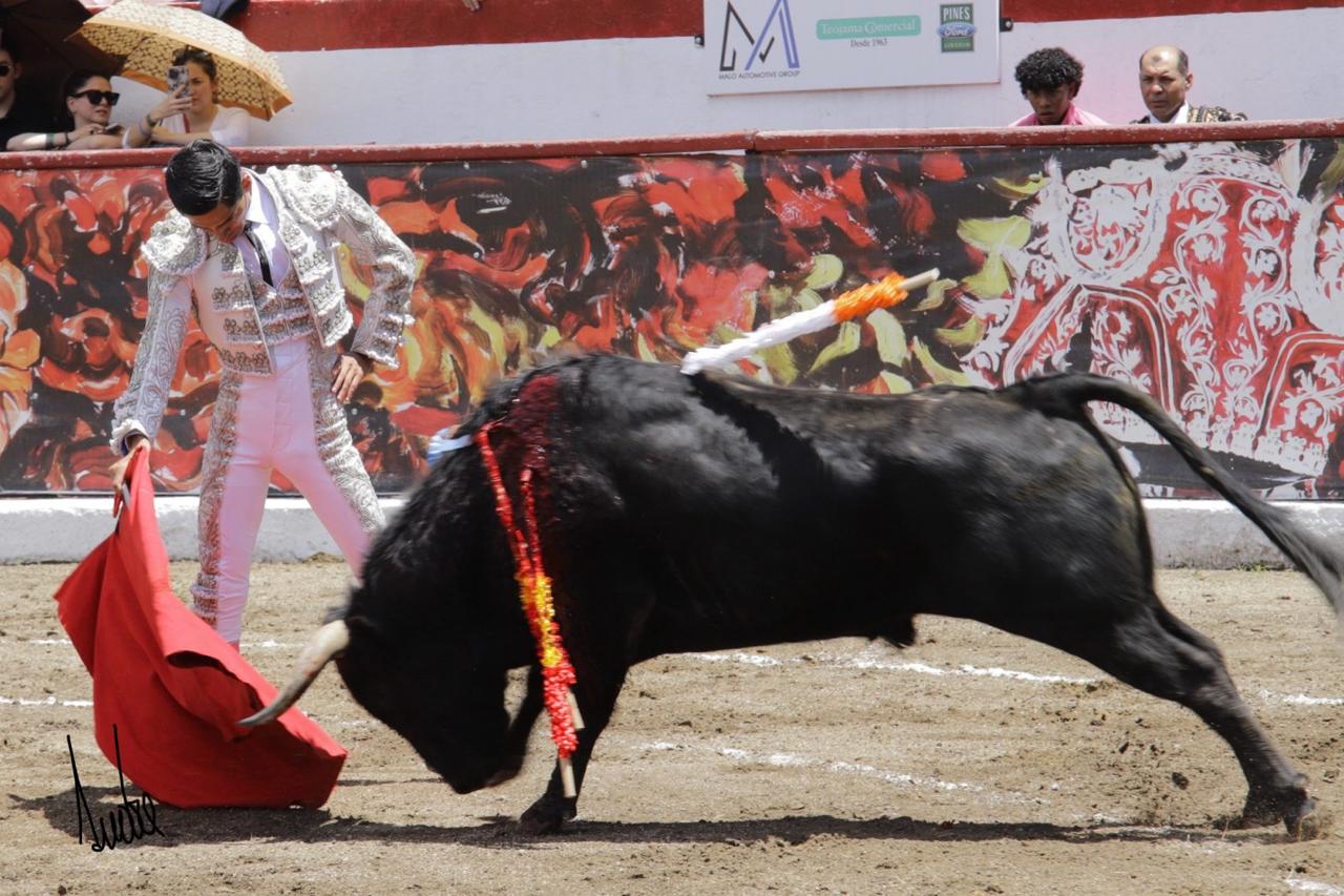 Castella y Marcillo se reparten cinco orejas en una tarde pasada por agua