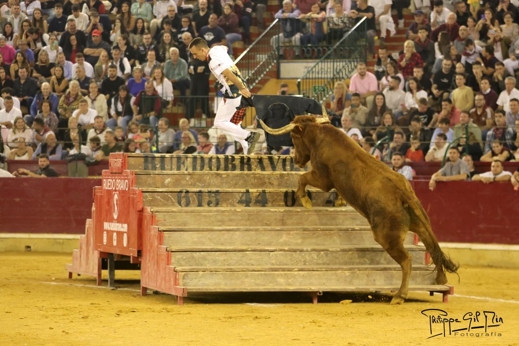 Aragón refuerza el control sanitario en los festejos taurinos populares desde el 1 de diciembre