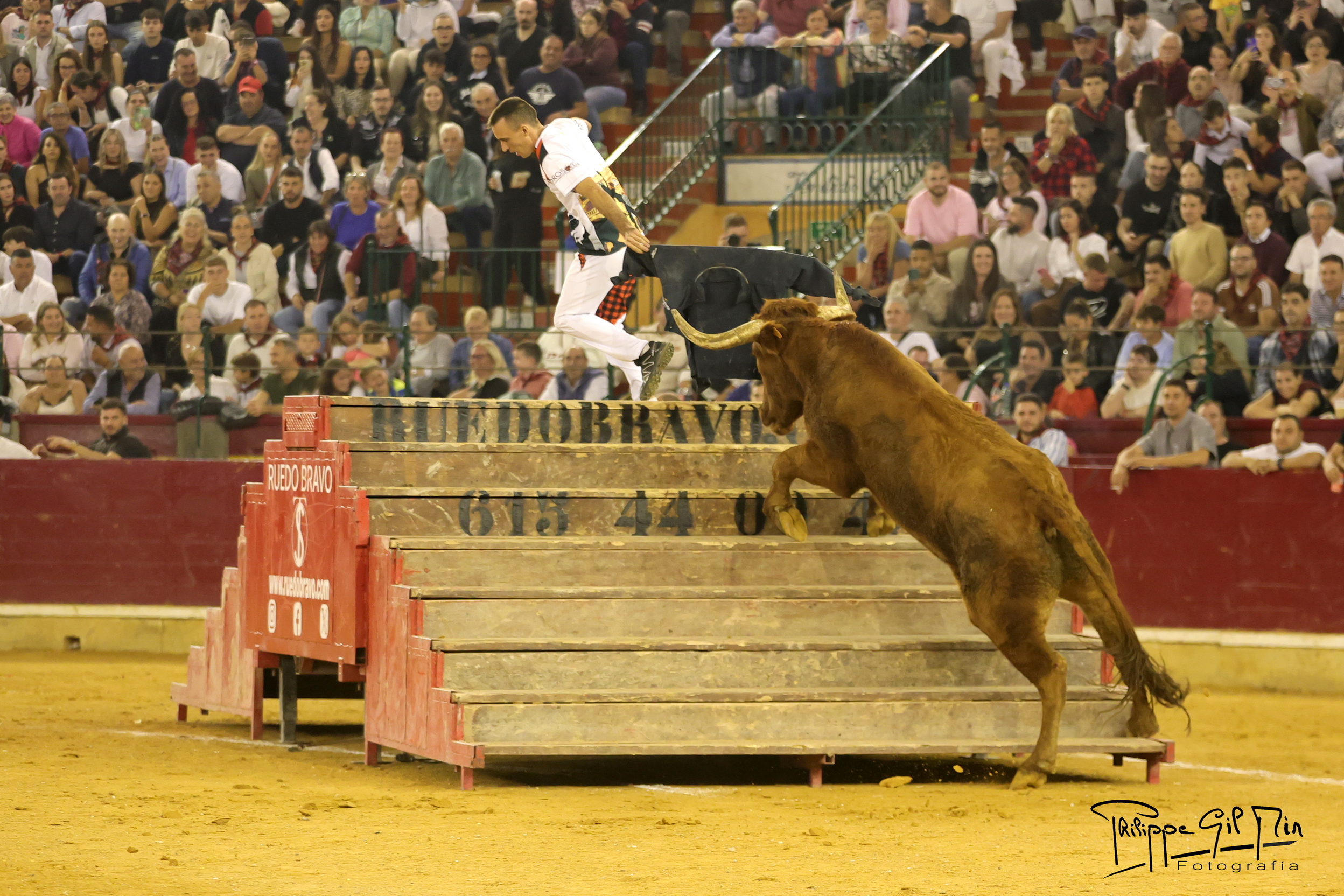 Aragón refuerza el control sanitario en los festejos taurinos populares desde el 1 de diciembre