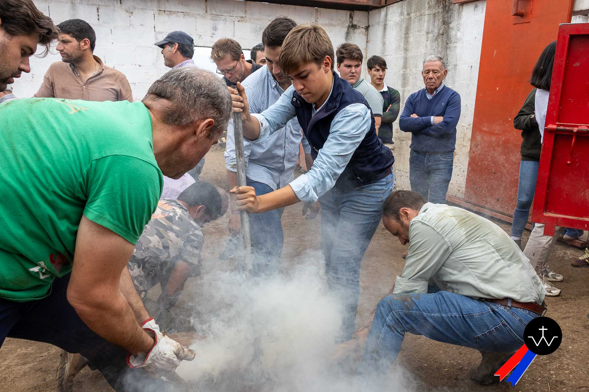 Majá del Lobo: El fuego y la memoria del campo bravo en un nuevo herradero de la ganadería de José Luis Pereda