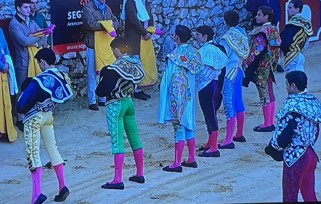 Todos los novilleros tocaron pelo en la novillada de Villaluenga del Rosario