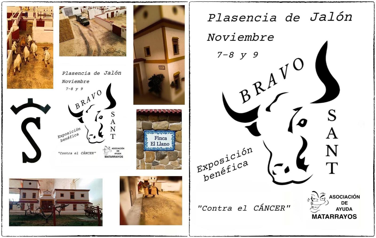 Plasencia de Jalón acogerá una exposición benéfica con una maqueta taurina en favor de la lucha contra el cáncer