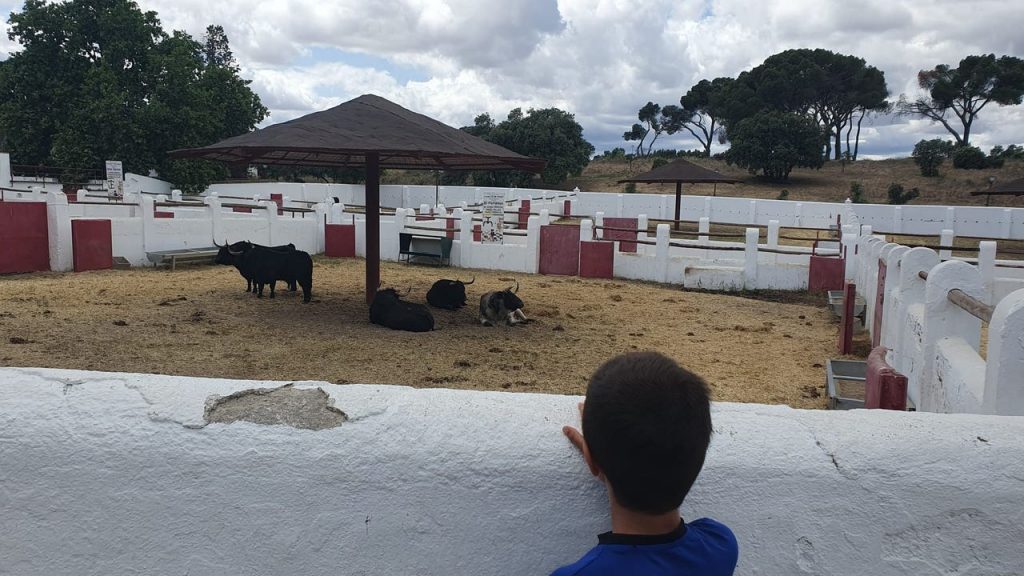 La Asociación El Toro de Madrid defiende un proyecto integral para devolver la Venta del Batán a su función original