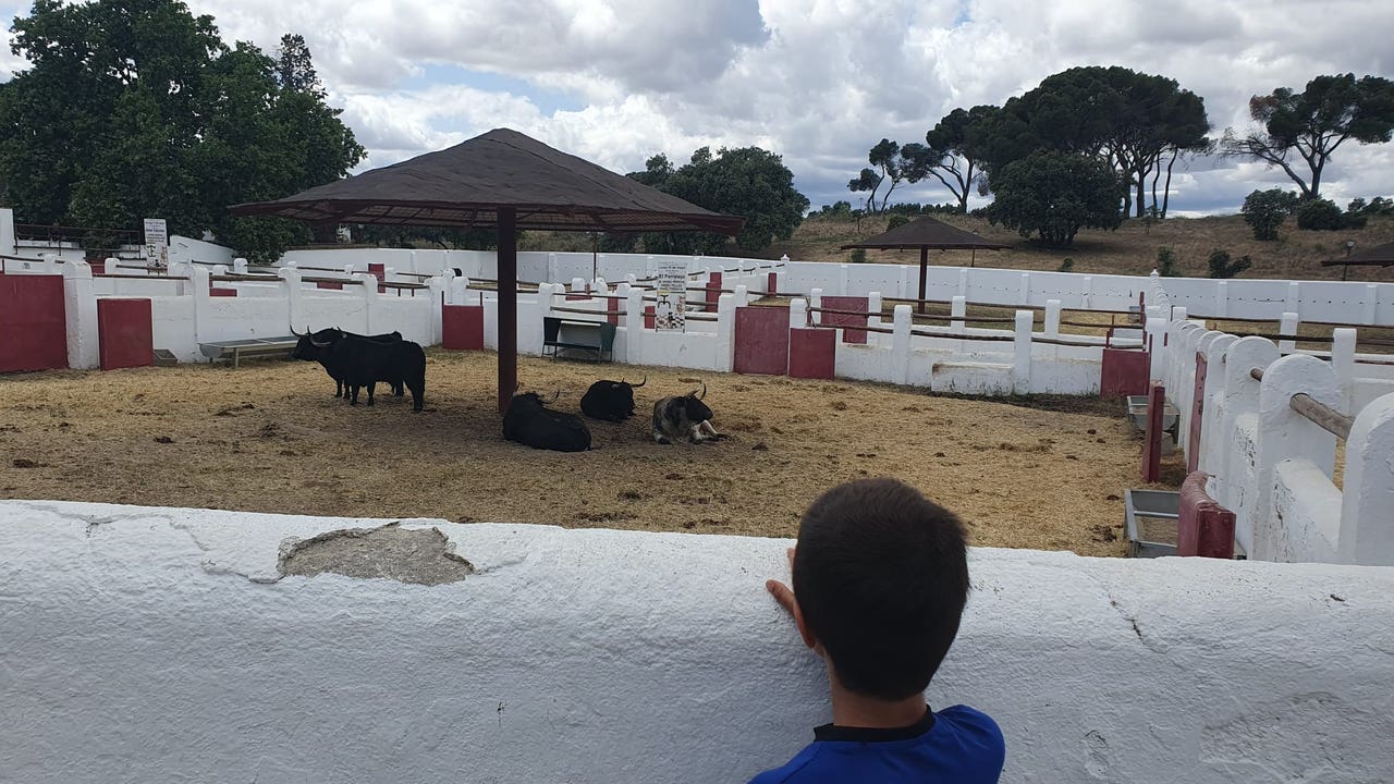 La Asociación El Toro de Madrid defiende un proyecto integral para devolver la Venta del Batán a su función original