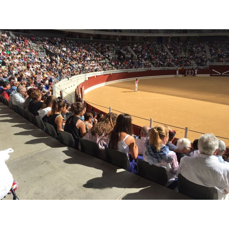 El Parlamento Vasco frena el intento antitaurino de Sumar y respalda la tradición taurina