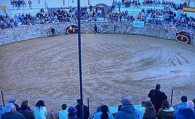 Novilleros muy nuevos pero con mucho que decir en Algar