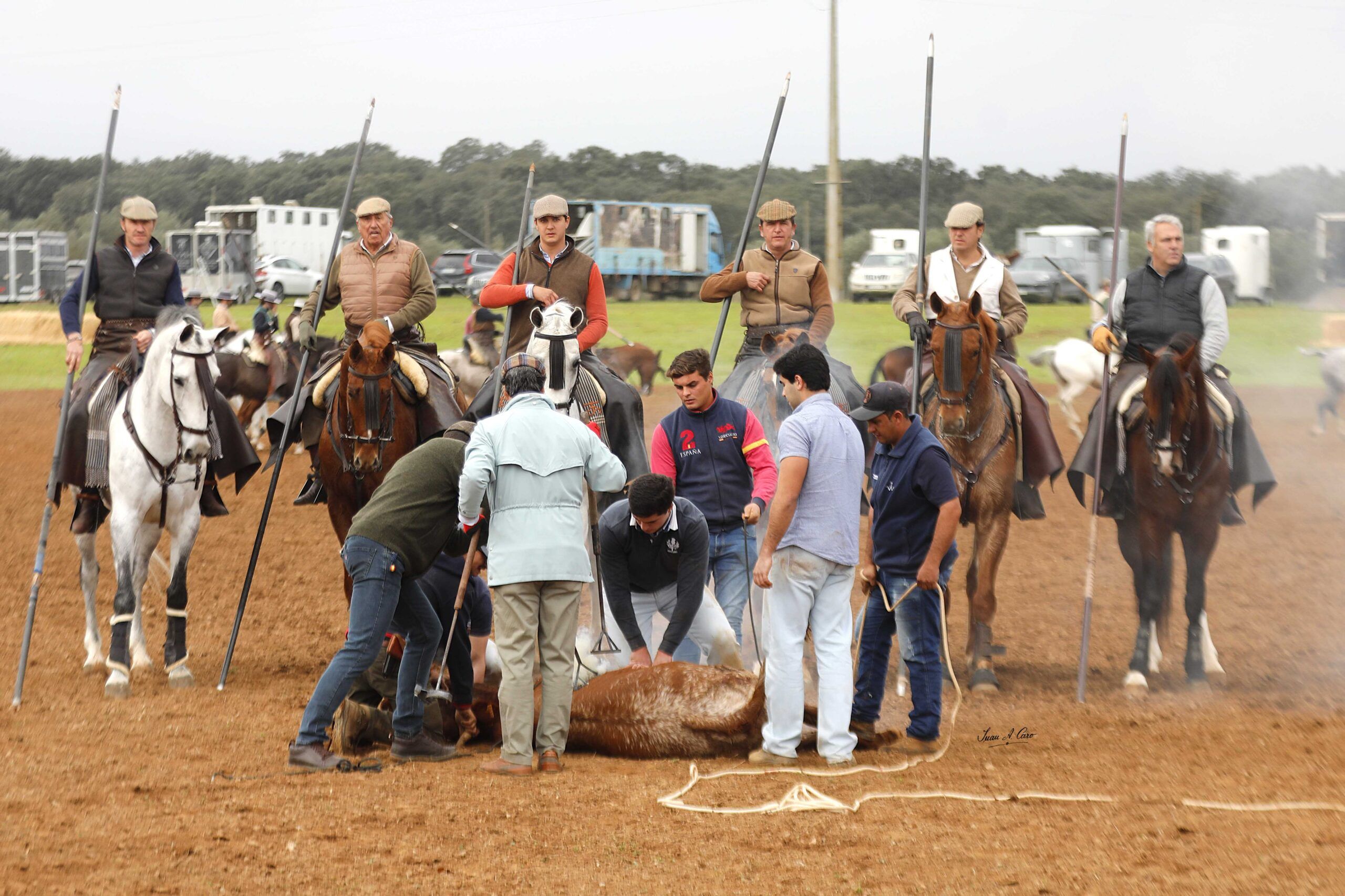 Una gran jornada de Faena y Doma de Campo reúne a la élite del acoso y derribo en la finca Heredade do Barroso