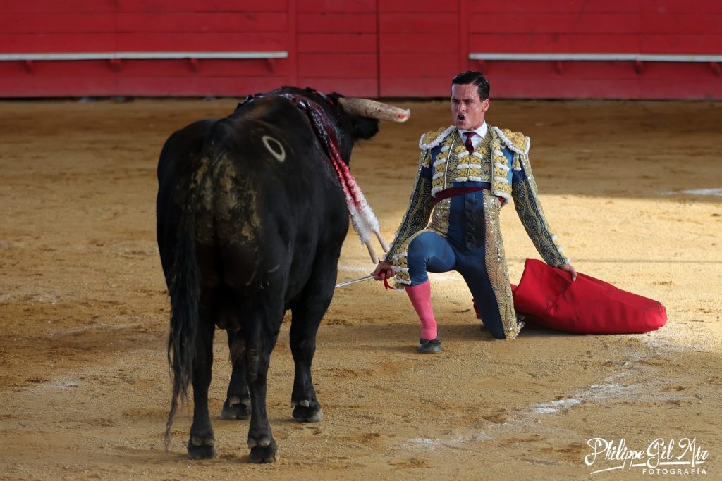 David Galván regresa a Gamarde en 2026 tras conquistar el coso francés el pasado año