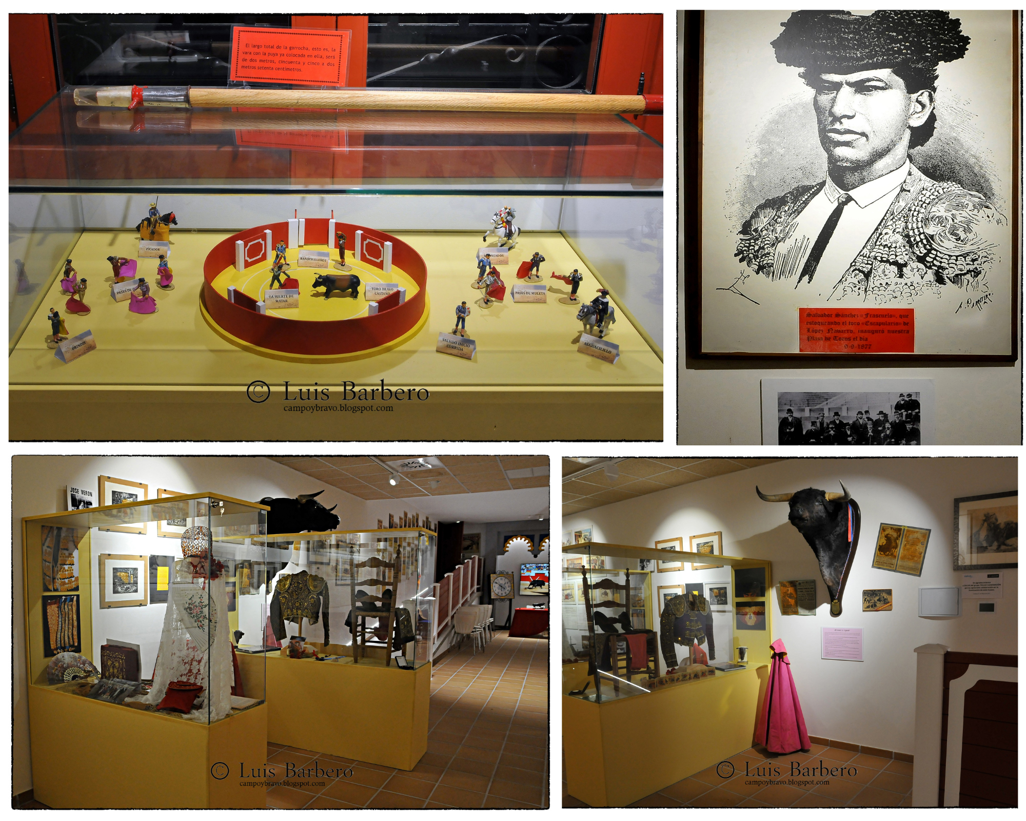 Historia del Museo Taurino de Calatayud