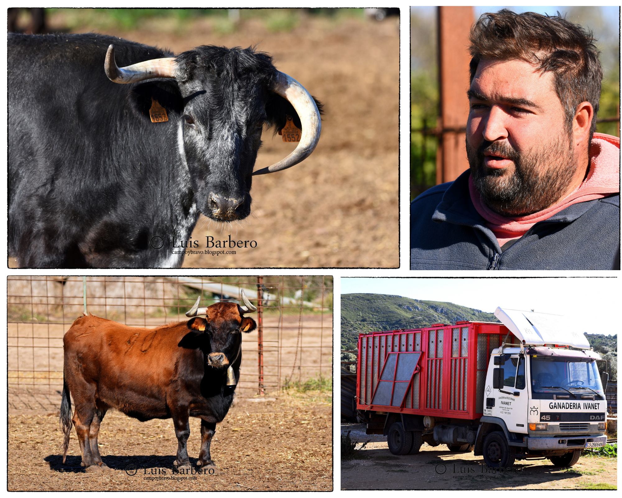 Ivanet: Una ganadería forjada en la tierra áspera del Maestrat