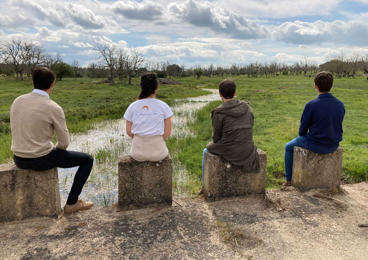 Zaragoza: cuando el toreo deja de ser cultura para convertirse en rehén