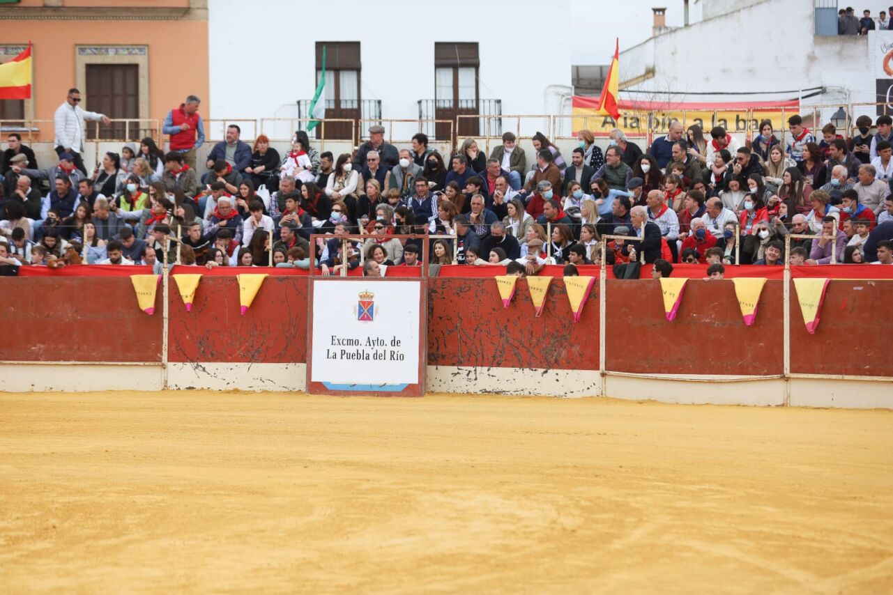 PREDICAR Y DAR TRIGO