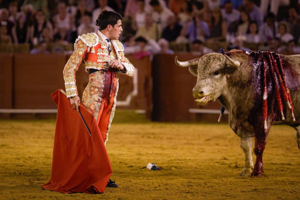 El año de reivindicación de Fuentes Bocanegra