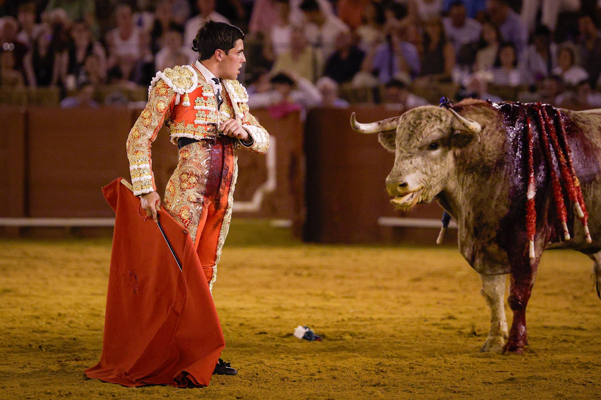 El año de reivindicación de Fuentes Bocanegra