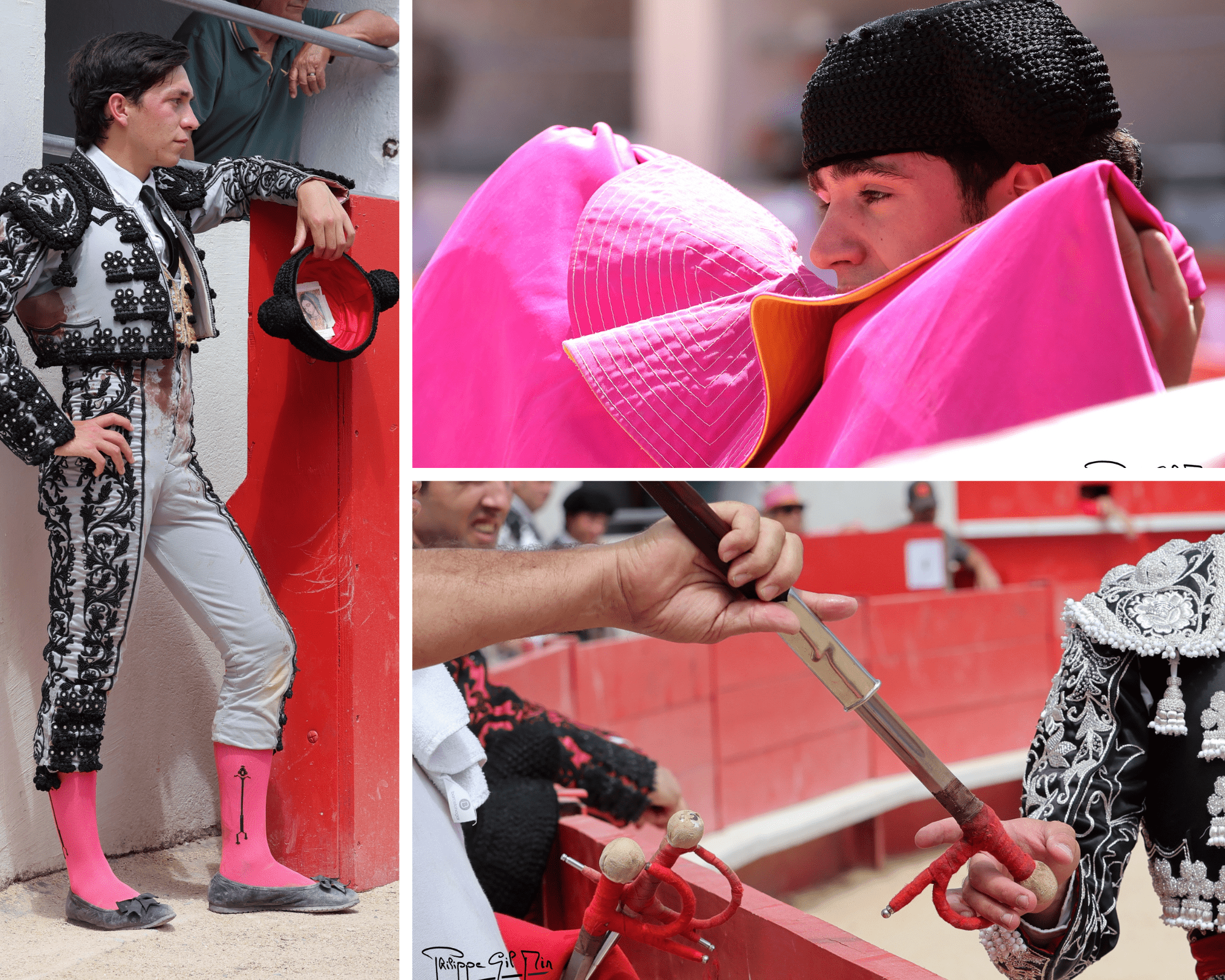 Alès reivindicó el toro y la torería en una Feria de la Ascensión con identidad propia