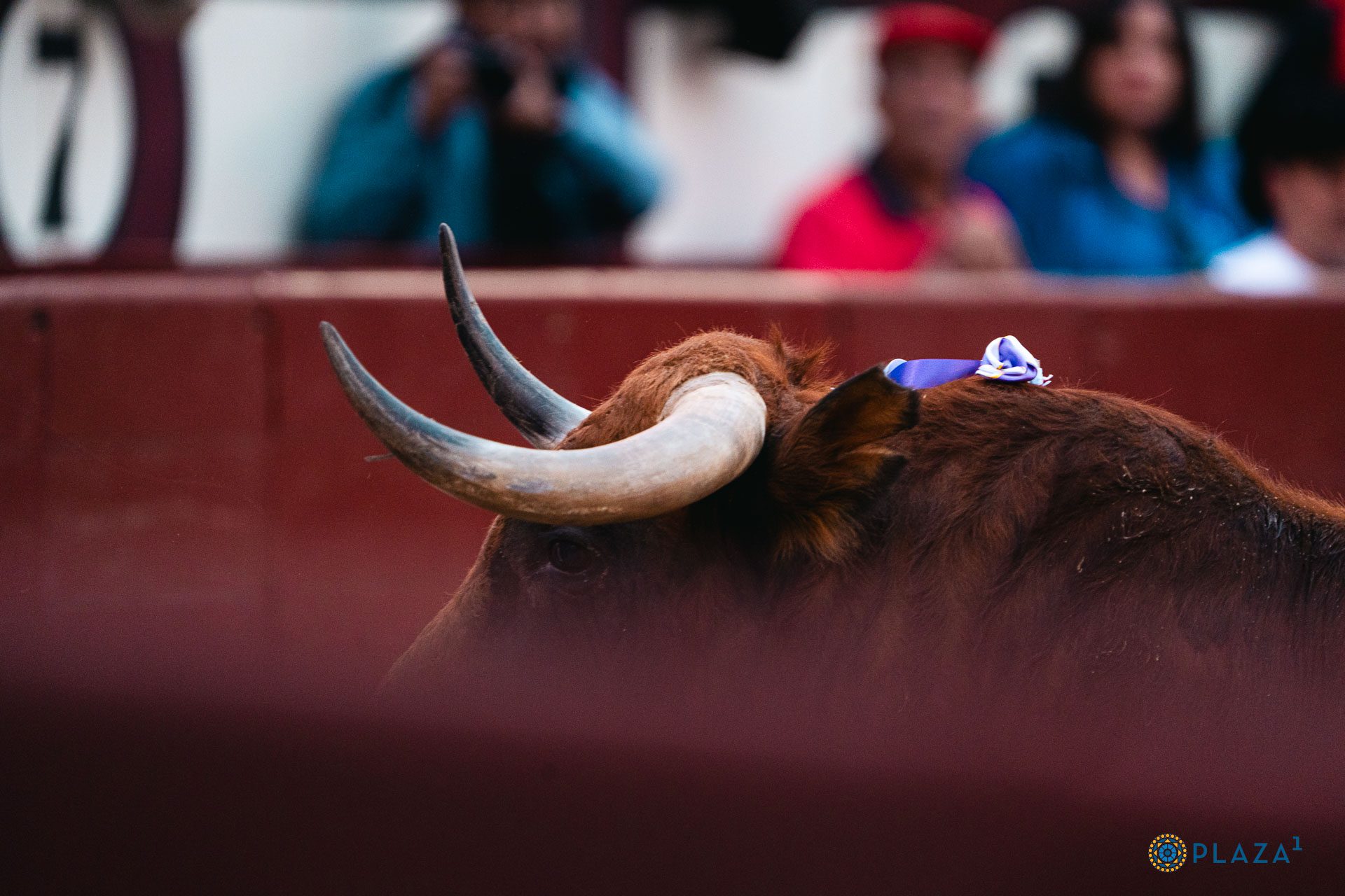 Las Ventas define el arranque de la temporada 2026 con torismo y figuras en cinco festejos