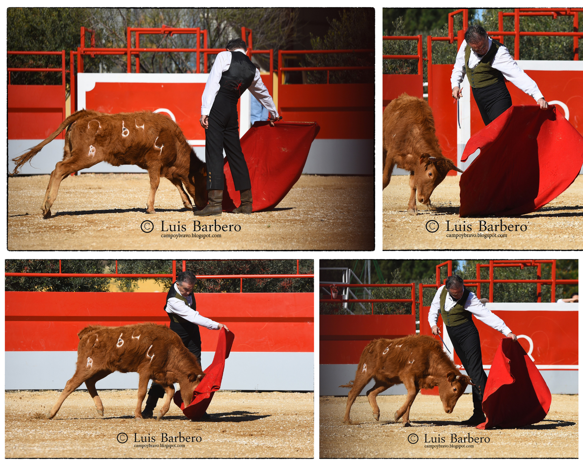 Pepe Mayor, rumbo a la temporada 2026