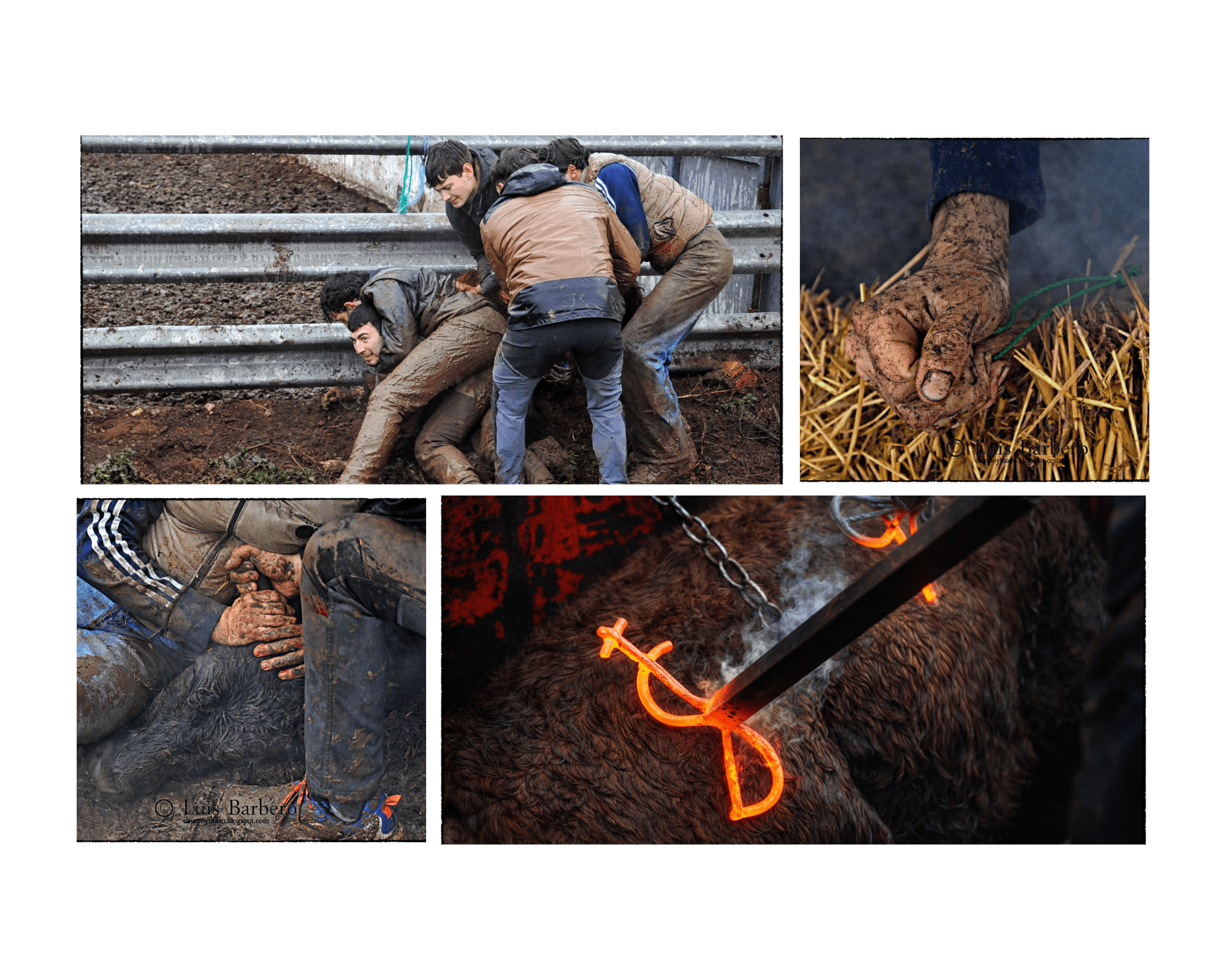 La huella del hierro de Rafael Alarcón