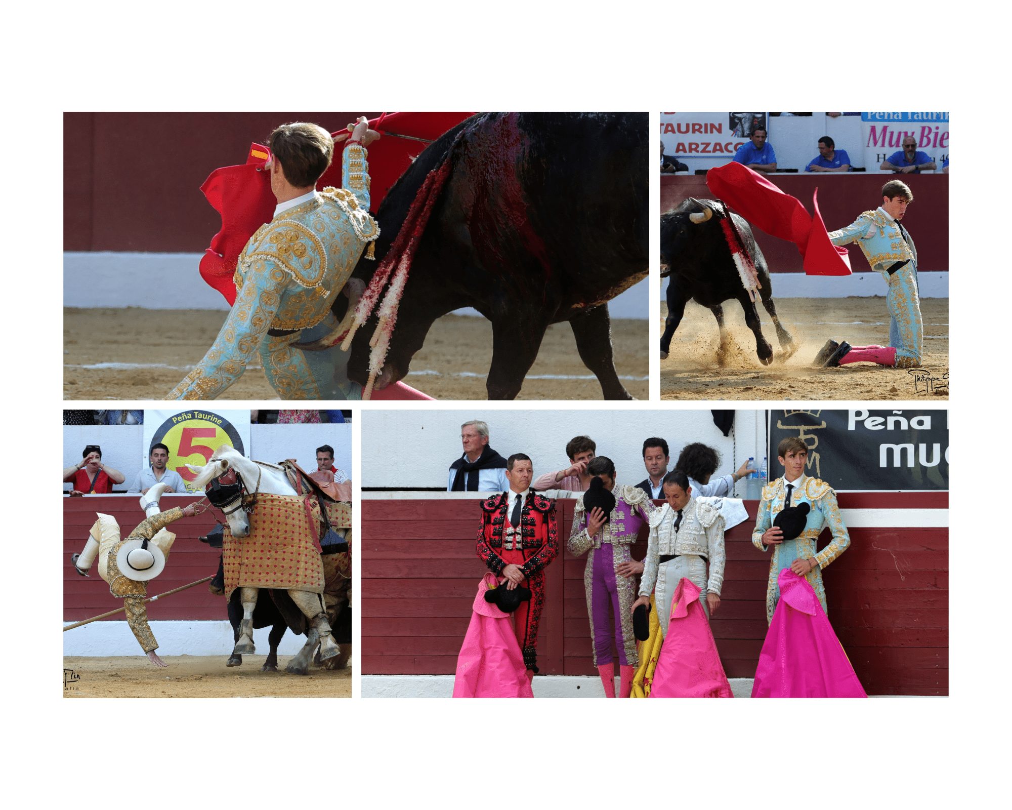 Palha impuso su ley en Aire-sur-l’Adour en una novillada seria y de interés