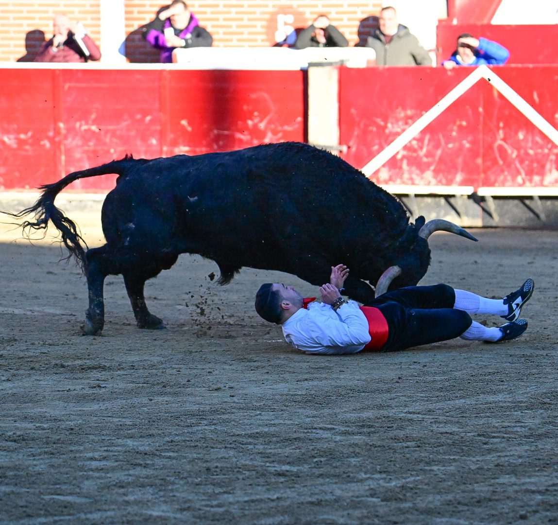 Suspendido el concurso de recortadores de Sanse por la grave cogida a ‘El Peta’ en el triángulo de Scarpa