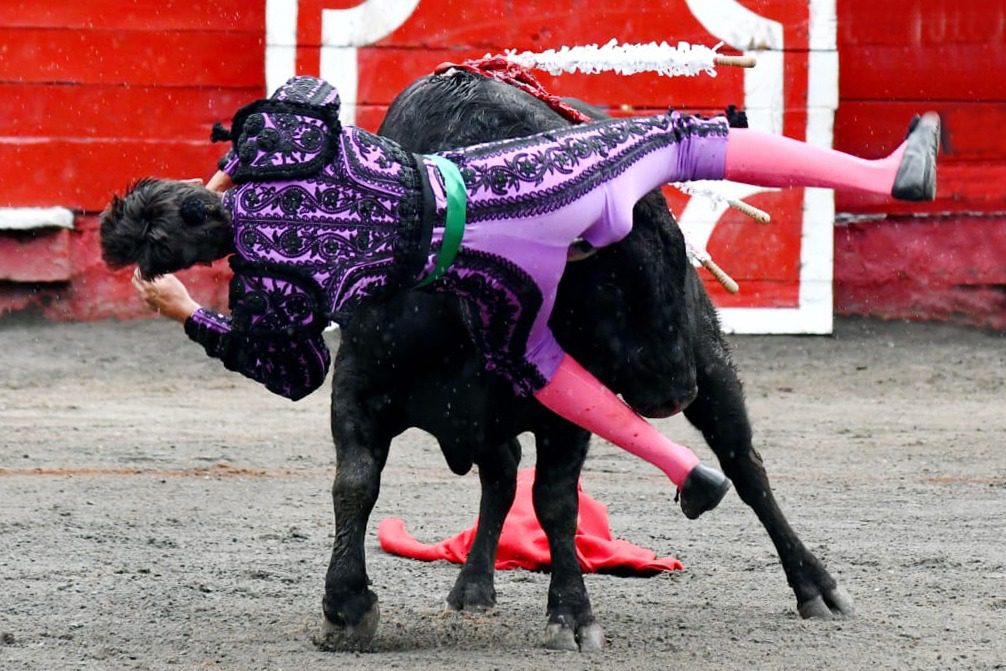 José Arcila cornada de 20 centímetros, que vuelve al ruedo y corta una oreja en Manizales