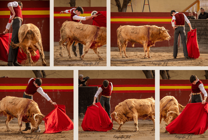Mario Vilau intensifica su puesta a punto para los retos 2026: Valencia, Madrid, Valdemorillo…