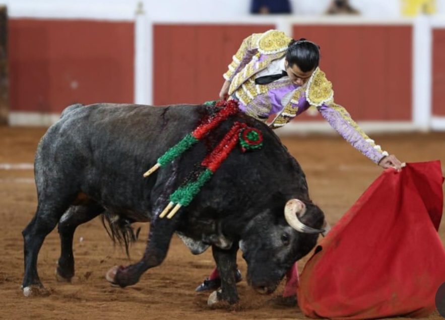 Diego San Román, base de la campaña en México