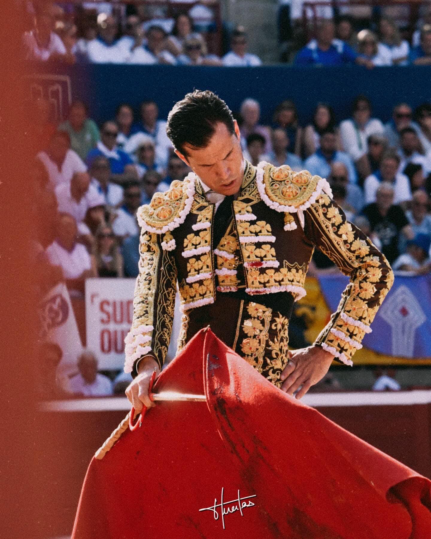 Daniel Luque se anuncia en solitario con seis toros en Mont de Marsan para 2026