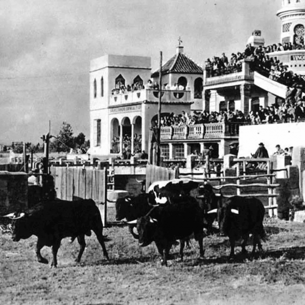 Comienzo de año, Garzón y la Real Venta de Antequera