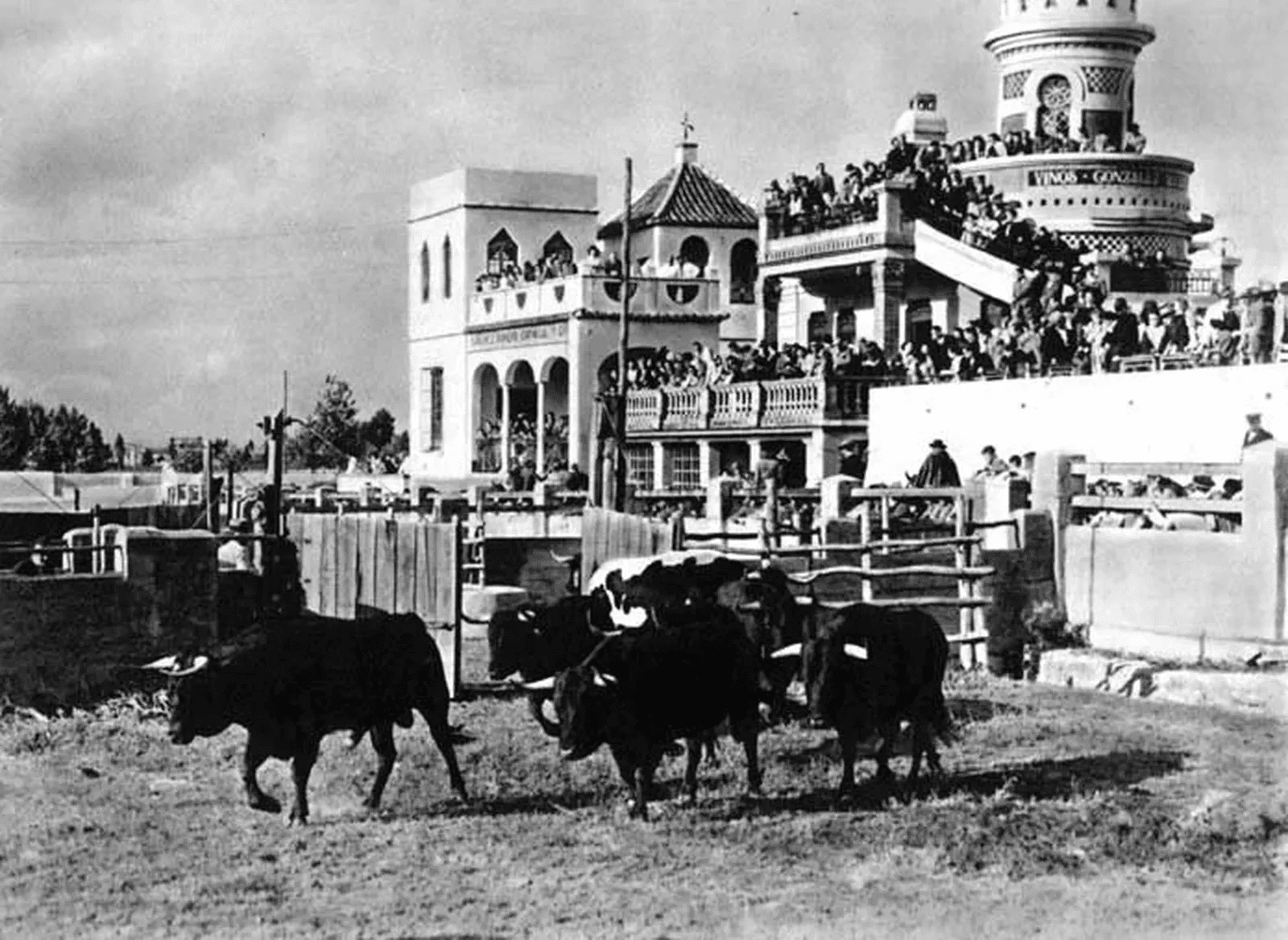 Comienzo de año, Garzón y la Real Venta de Antequera