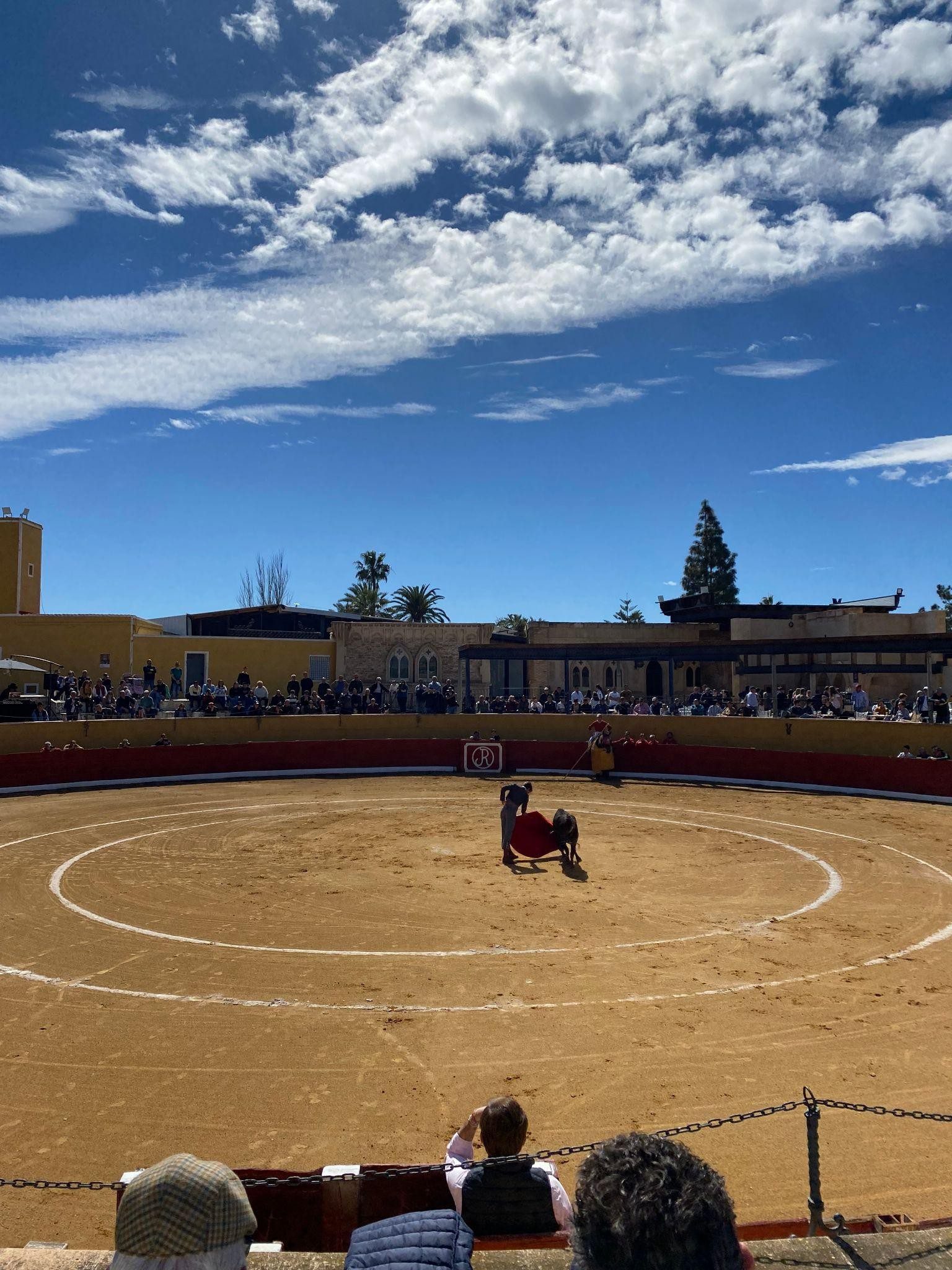 Novilleros seleccionados para el V Bolsín de Torre-Pacheco