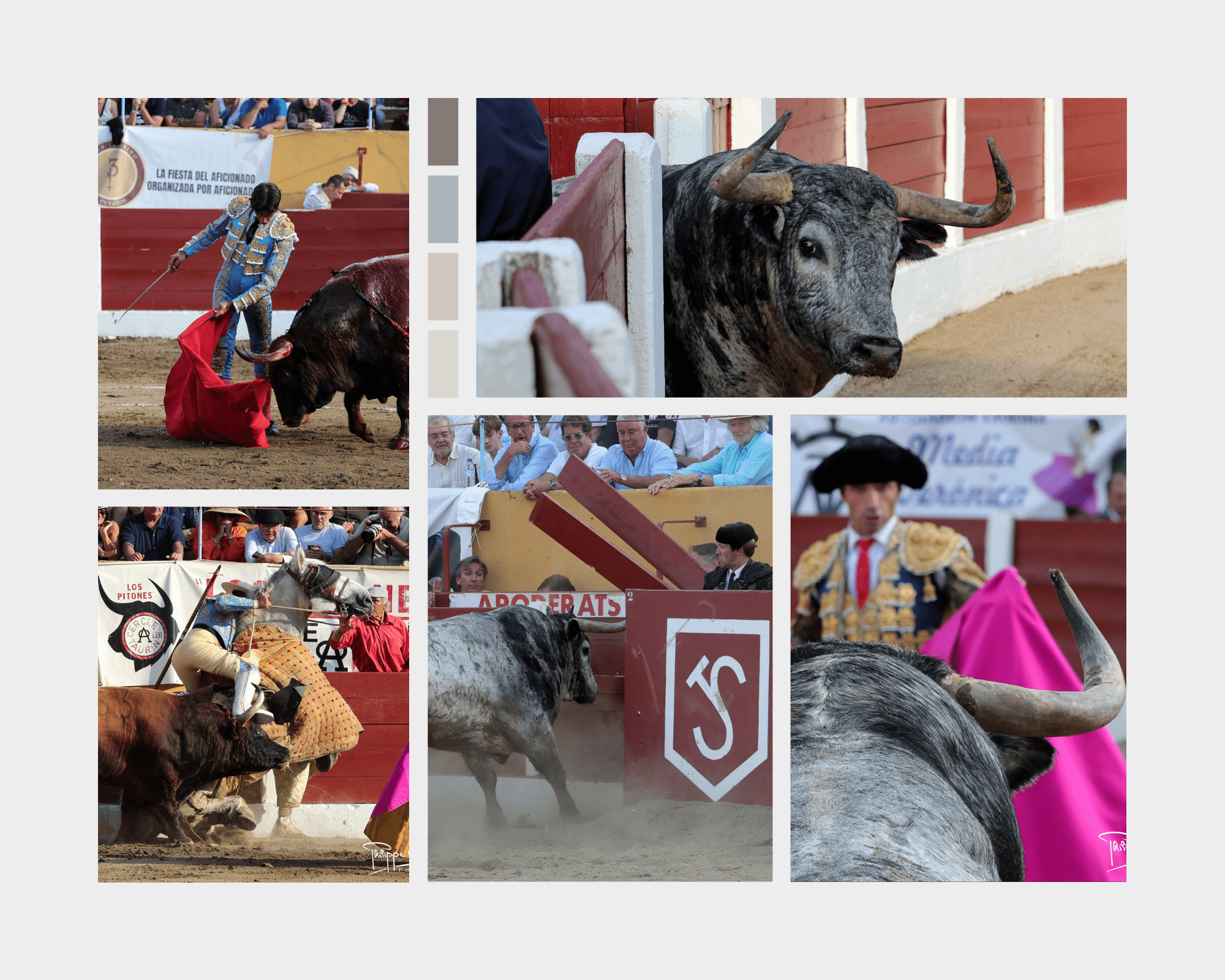 Mario Vilau se sobrepuso a la cornada para salir a hombros en una feria de Céret marcada por la lluvia y la emoción