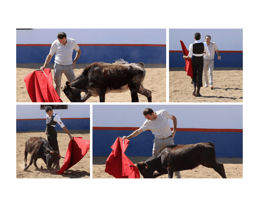 Juan Pablo Sánchez y David de Miranda acompañados del Maestro Enrique Ponce realizan labores de campo bravo en San Constantino