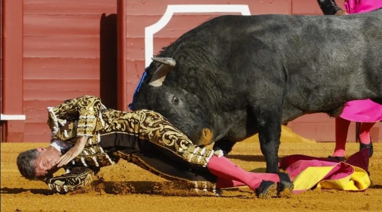 De la cornada al regreso al ruedo: un estudio científico analiza cómo reacciona el cuerpo del torero