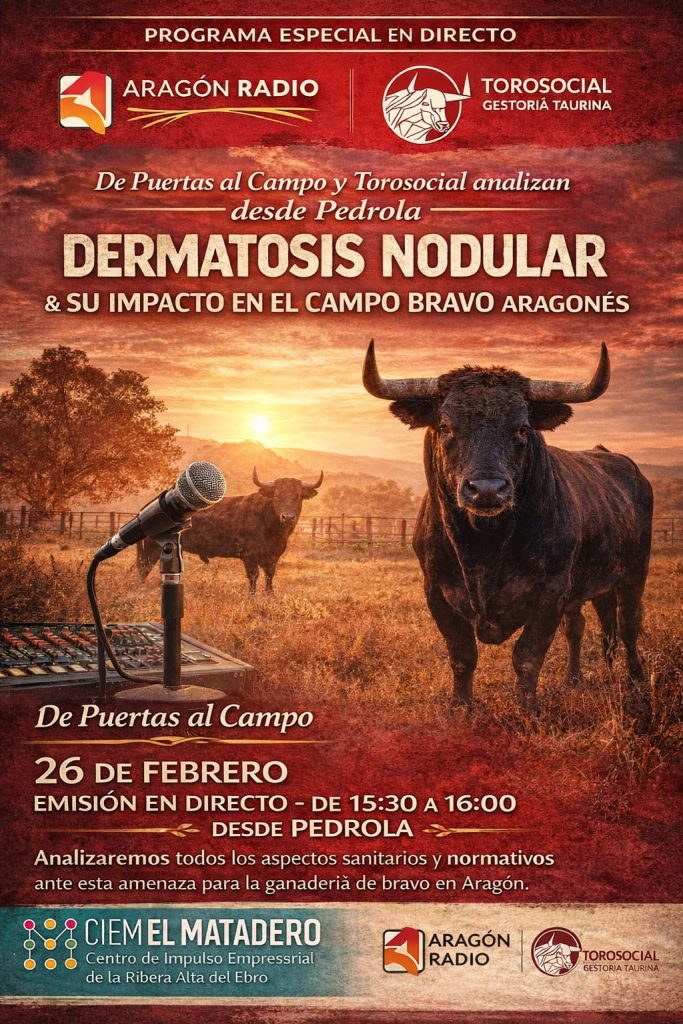 Aragón Radio emitirá en directo desde Pedrola un especial sobre la Dermatosis Nodular Bovina y su impacto en el campo bravo