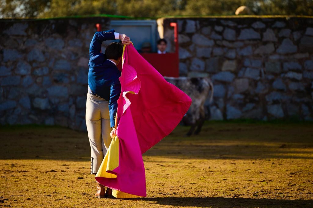 Granada presenta el V Certamen de Tentaderos para novilleros sin picadores
