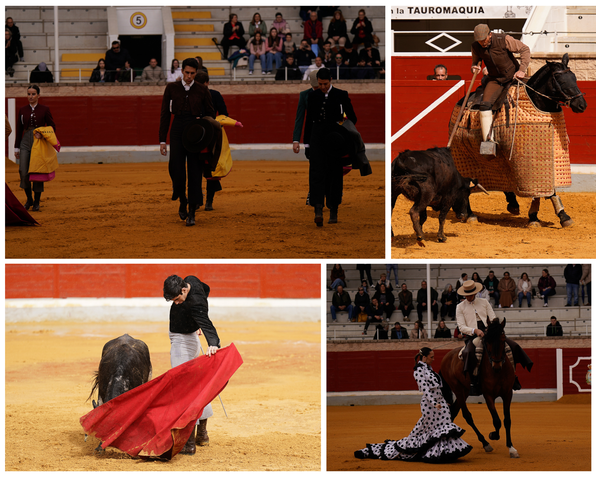 Villaseca de la Sagra se vuelca con la solidaridad en una jornada marcada por el tentadero y la gala benéfica