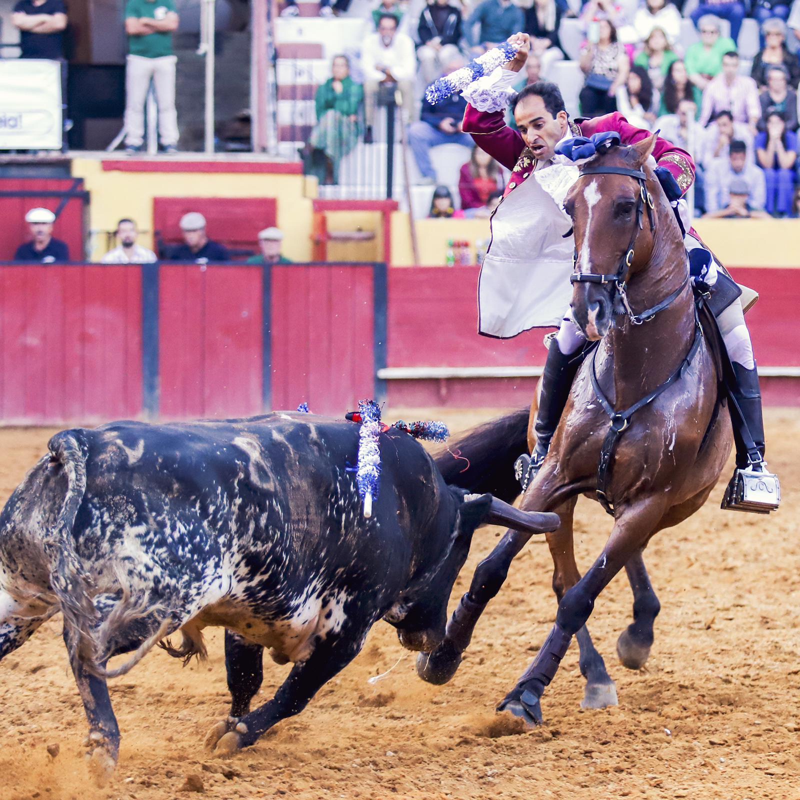 Joäo Salgueiro Da Costa, quinta generación de una dinastía histórica, llega mañana a Almendralejo