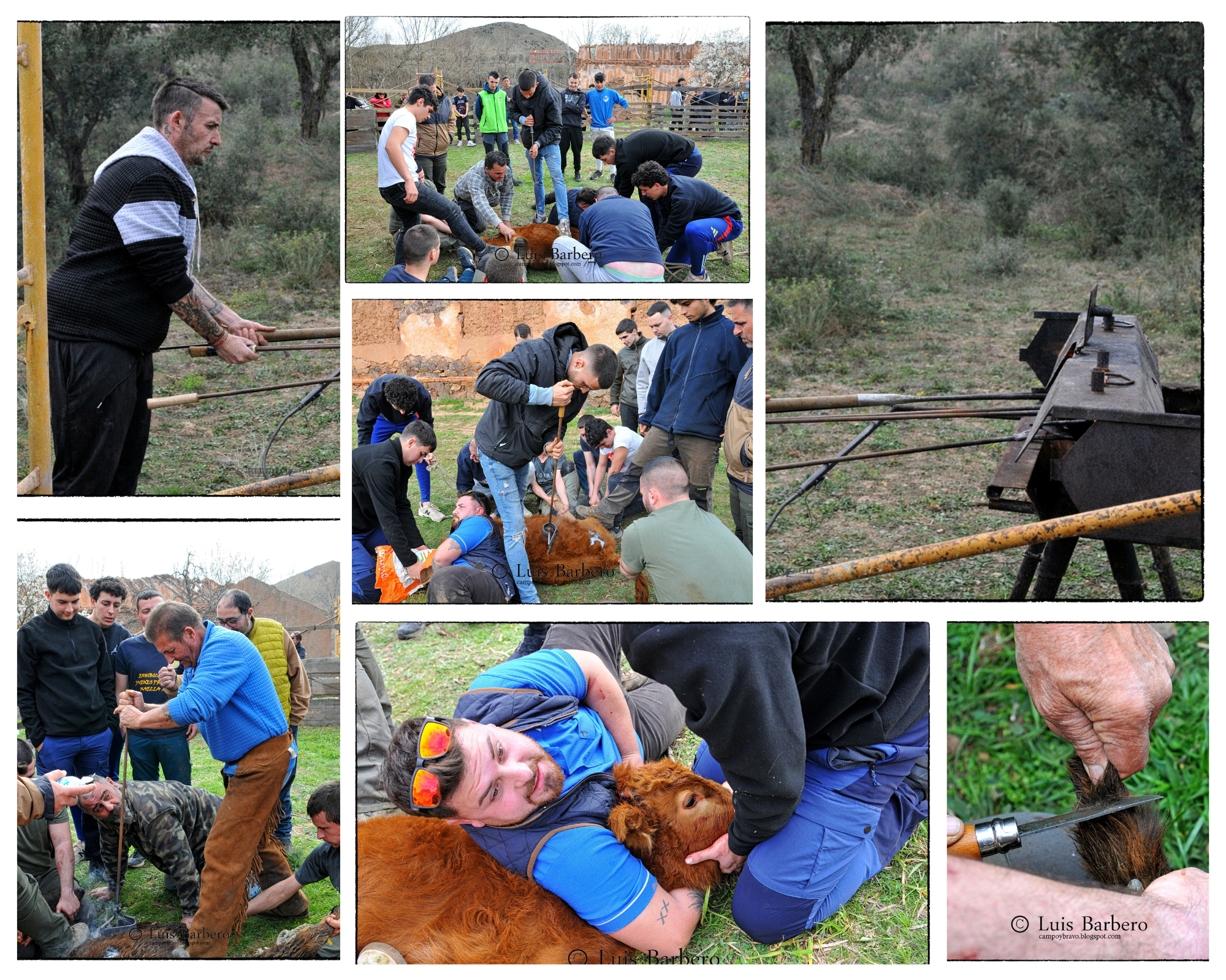 Hnos. Baena Salueña: Bautismo de Fuego en Las Minas