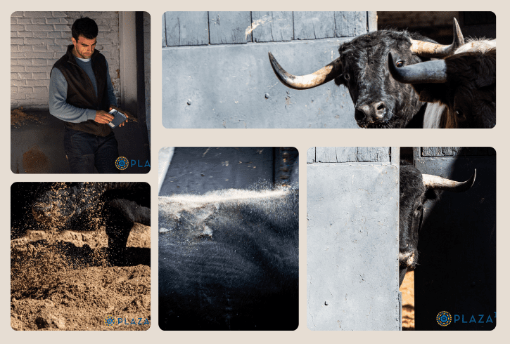 De "Curandero" a "Pantanoso" los seis Cuadris que abren temporada en Las Ventas