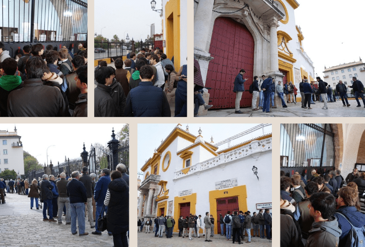 Colas y emoción en la Maestranza: arranca la renovación y venta de abonos para la temporada 2026