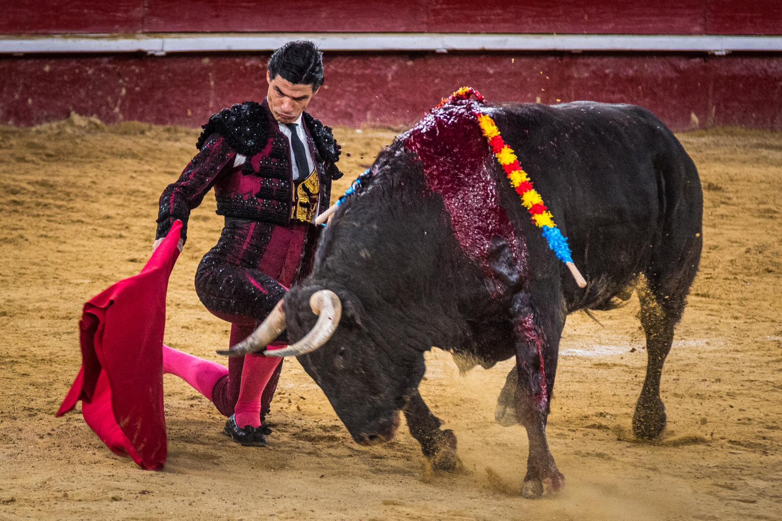 Las espadas se llevan los premios en Valencia
