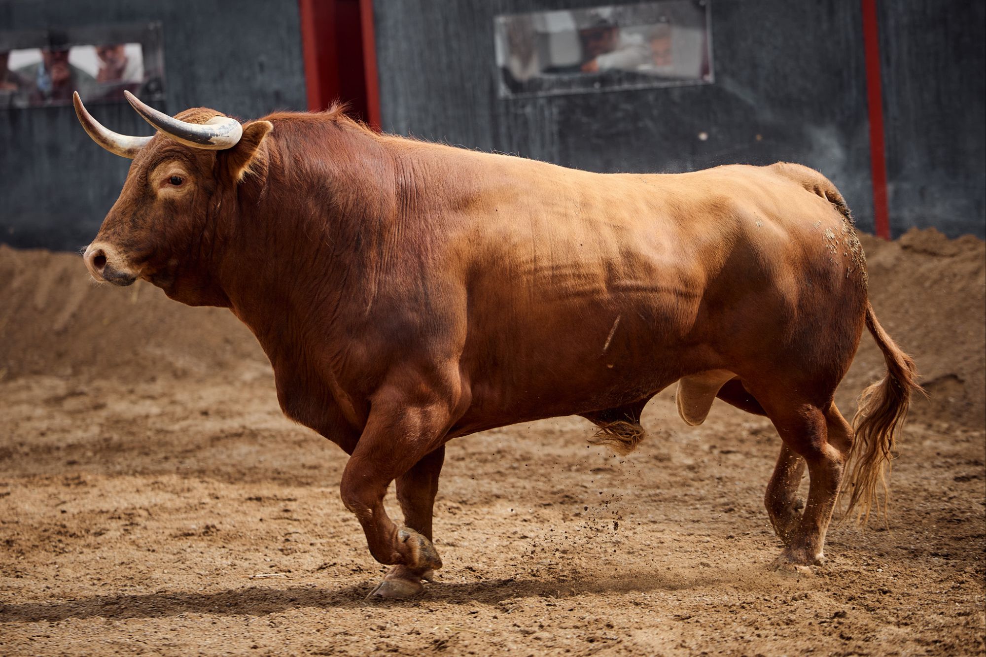 Sorteados los Juan Pedro para una tarde cien por cien sevillana en la Maestranza