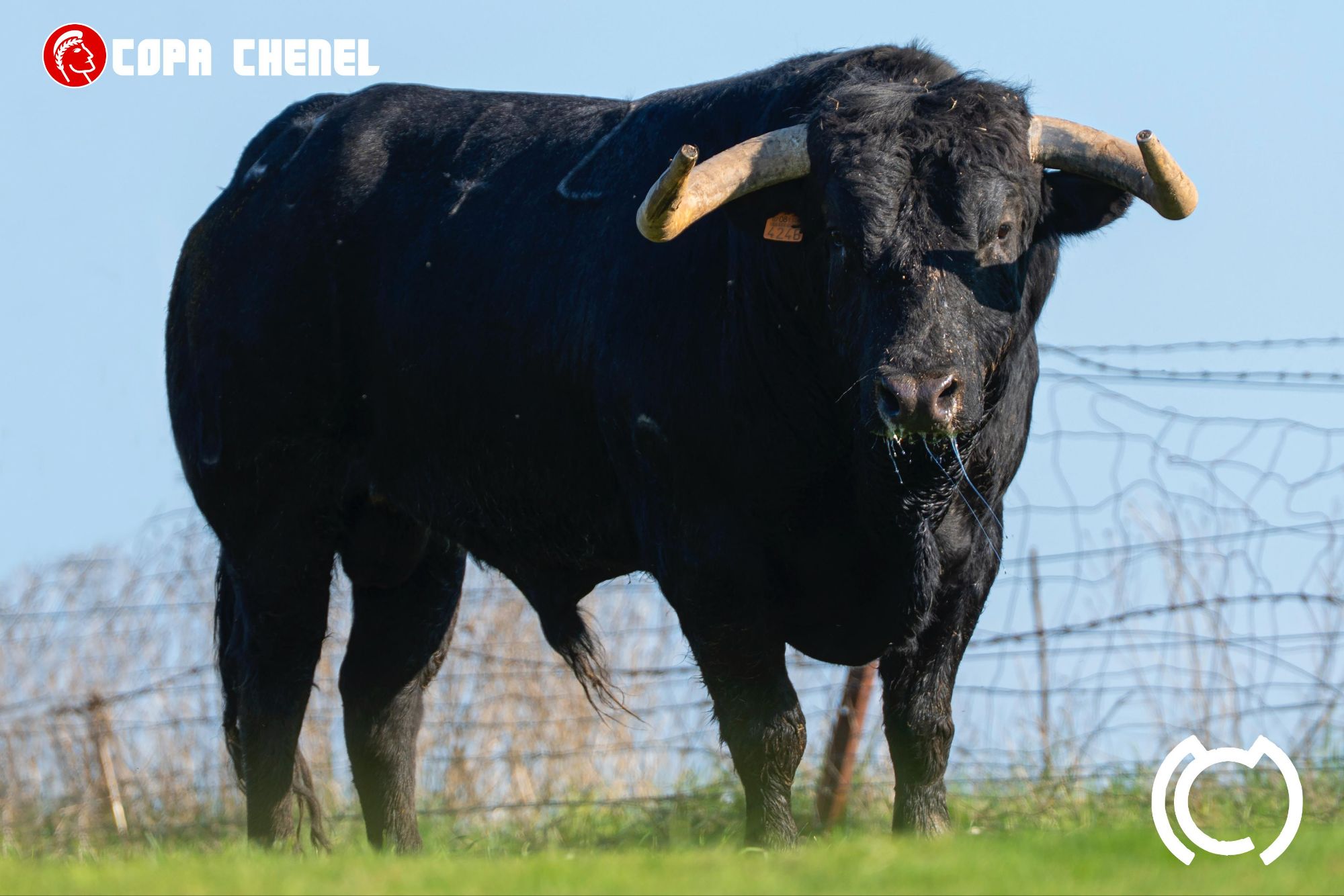 Estos son los de María Cascón y Martín Lorca para Colmenar de Oreja