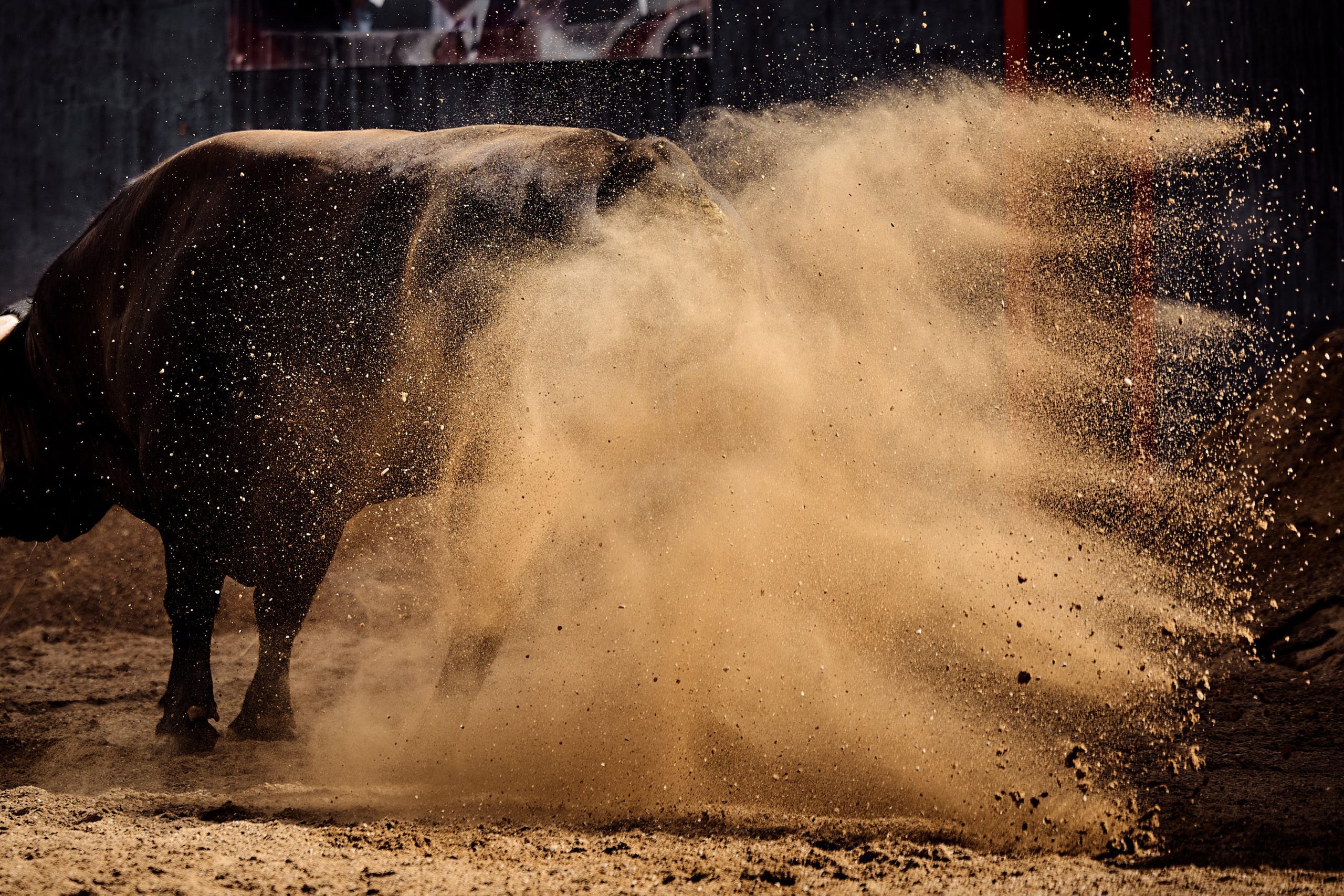 Sorteados y enchiquerados los toros de García Jiménez y Olga Jiménez para la tarde de este lunes en Sevilla