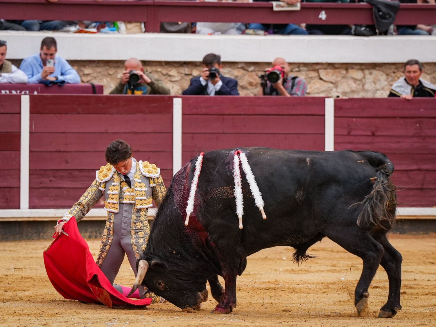 Manzanares, Ortega y Roca Rey, sin espada en Brihuega en una tarde de gran ambiente
