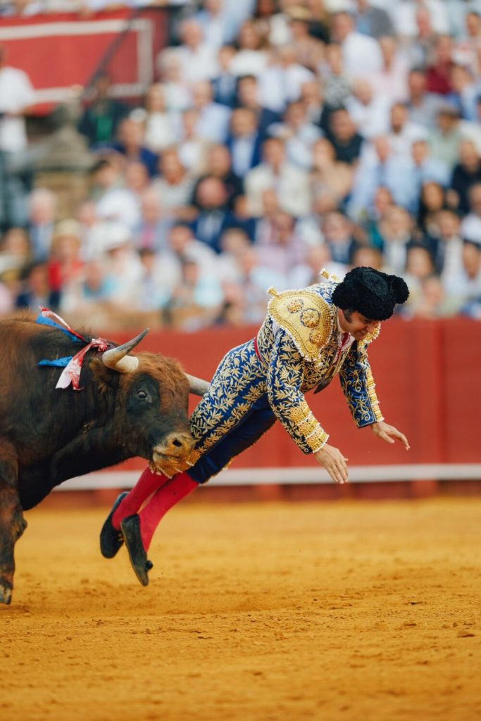 Morante, herido muy grave en Sevilla: cornada de 10 cm con perforación rectal y lesión del esfínter