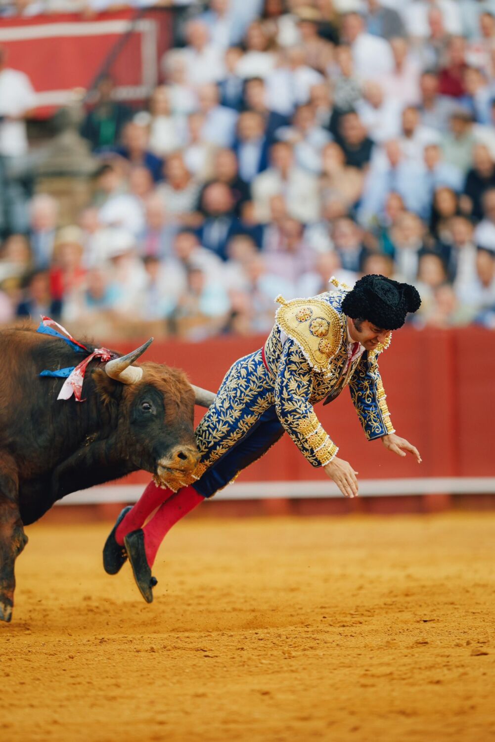 Morante, herido muy grave en Sevilla: cornada de 10 cm con perforación rectal y lesión del esfínter